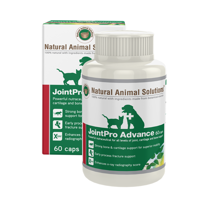 Natural Animal Solutions JointPro Advance for Cats & Dogs 60 capsules