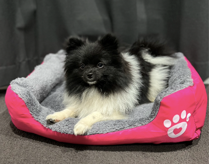 Life in the outback Vibrant Pawprint Dog Beds, the perfect blend of comfort and style for your cherished furry friend! 🐾🛏️🌈