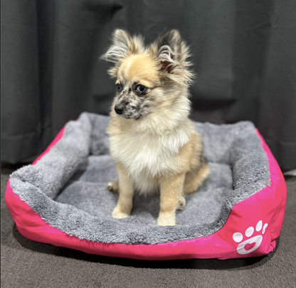 Life in the outback Vibrant Pawprint Dog Beds, the perfect blend of comfort and style for your cherished furry friend! 🐾🛏️🌈