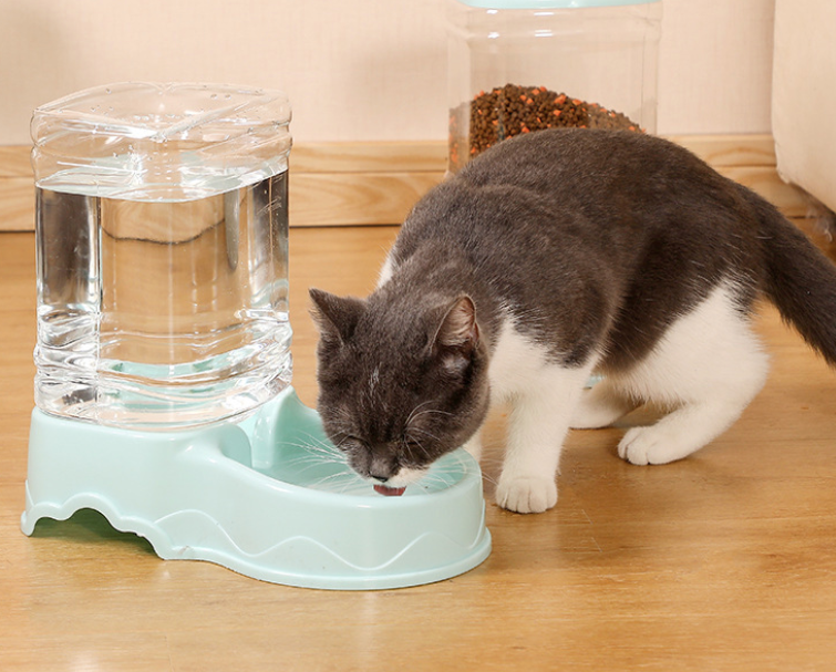 🐾🍲 "3.8L Dual-Function Auto Pet Feeder: Dry Food Dispenser & Water Bowl for Dogs and Cats" 💦🐶🐱