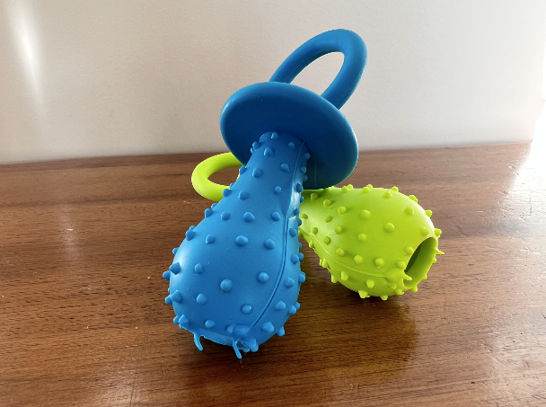 🐶 Life in the Outback: Pawsome Chewy Pacifier-Shaped Dog Toy 🍼🐾