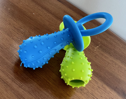 🐶 Life in the Outback: Pawsome Chewy Pacifier-Shaped Dog Toy 🍼🐾