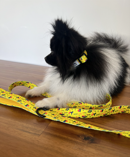 Life in Outback Slang Adventure Combo Pack: Harness, Leash, Collar & Poop Bag Set 🐾🇦🇺