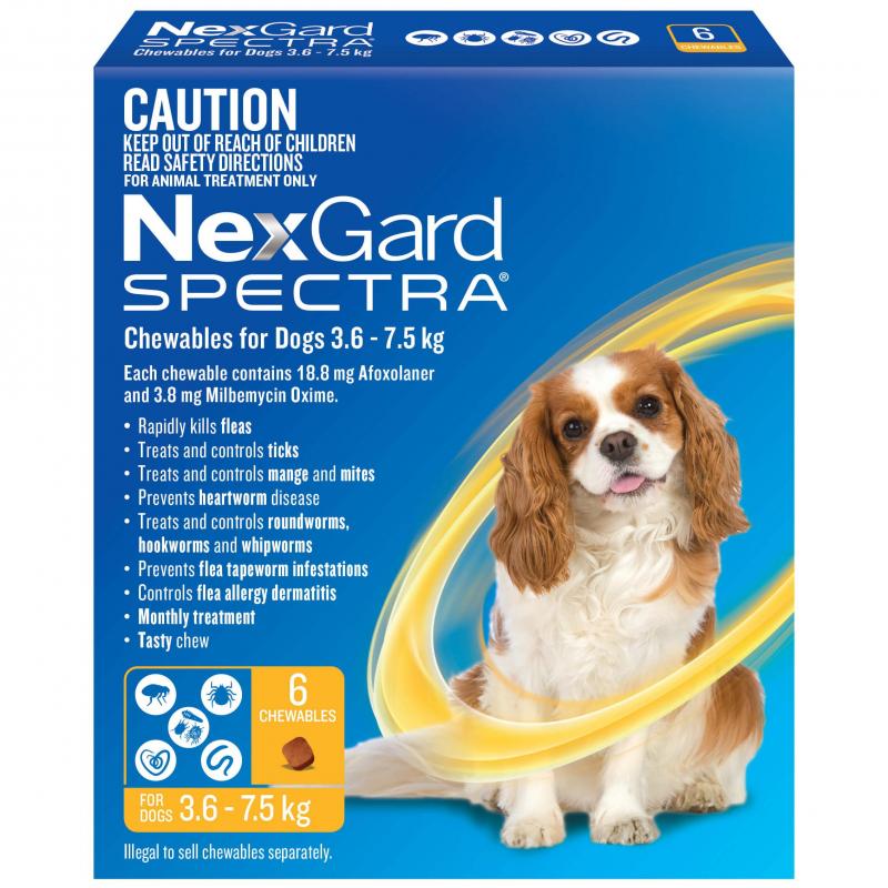 Nexgard SPECTRA – Flea, Tick, Heartworm & Worm Control