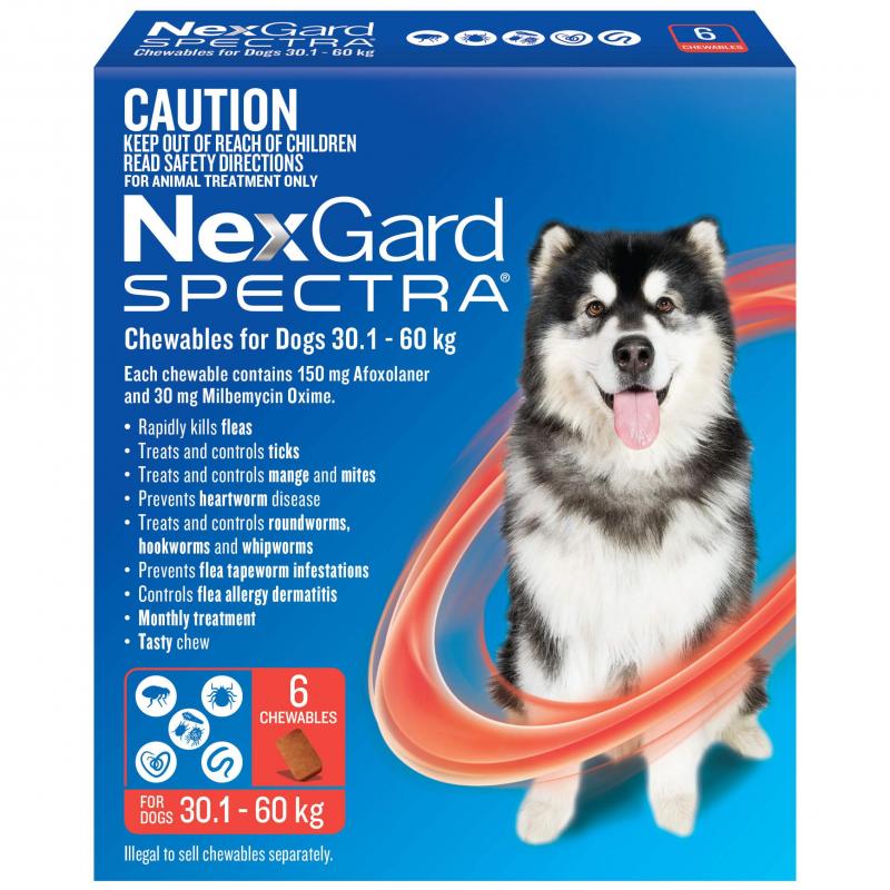 Nexgard SPECTRA – Flea, Tick, Heartworm & Worm Control