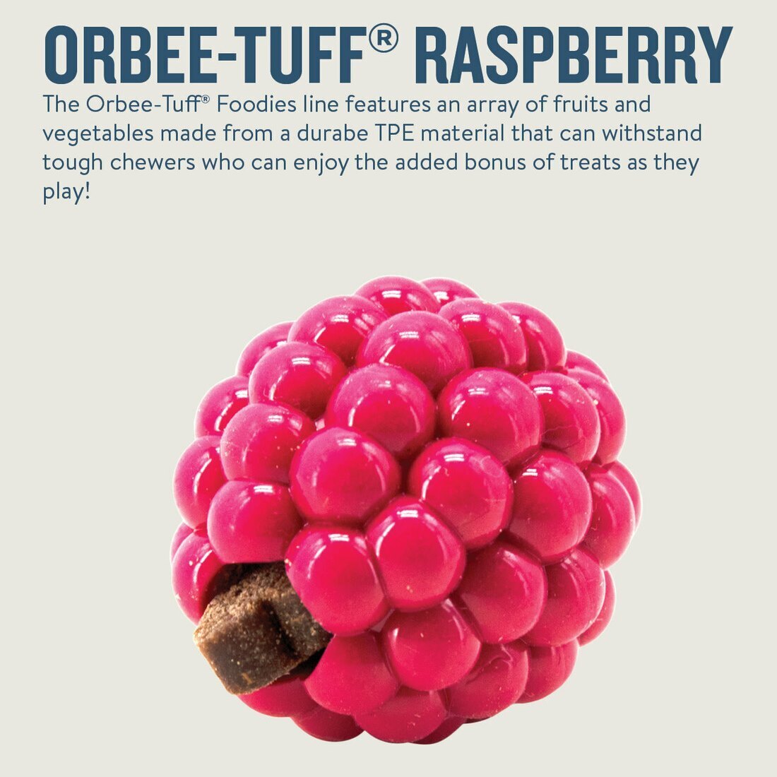 Planet Dog Orbee-Tuff Treat Dispensing Dog Toy - Raspberry