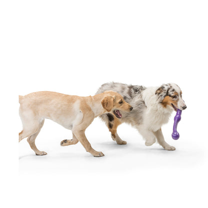 West Paw Zwig Tug & Fetch Stick Dog Toy in Bright New Colours