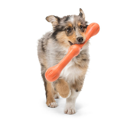 West Paw Zwig Tug & Fetch Stick Dog Toy in Bright New Colours