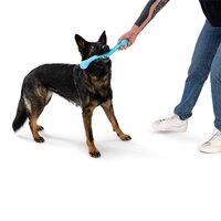 West Paw Zwig Tug & Fetch Stick Dog Toy in Bright New Colours