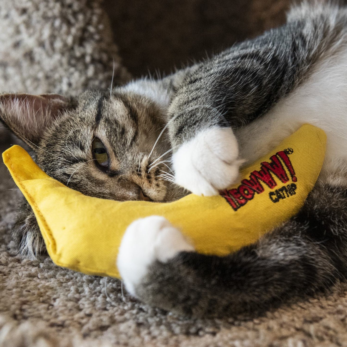 Cat Toys with Pure American Catnip - Banana