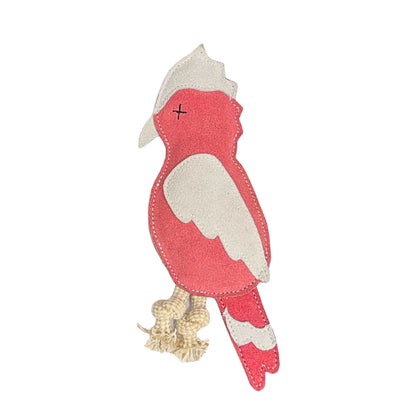 Georgie Paws – Gav the Galah