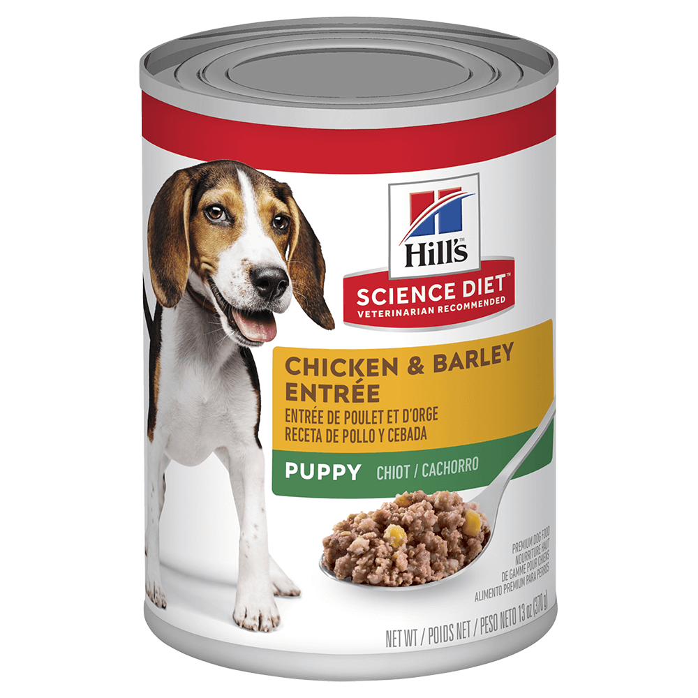 Hill’s – Wet Food – Puppy – Trays – Everyday