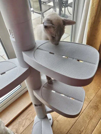 Monkee Tree - The Scalable Cat Climbing Ladder - 3 Branch Kit