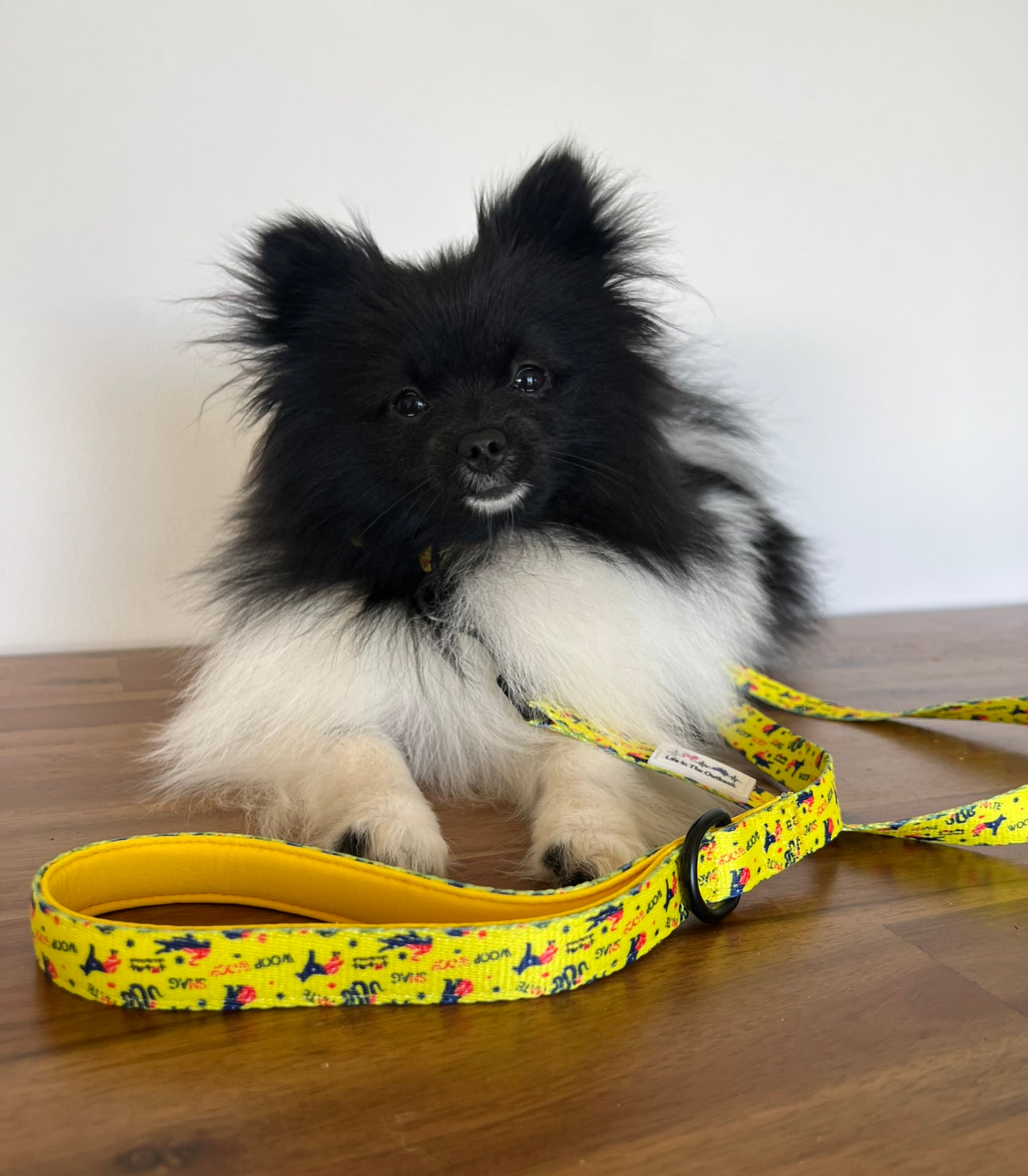 Life in Outback Slang Adventure Range Collar 🐾🇦🇺