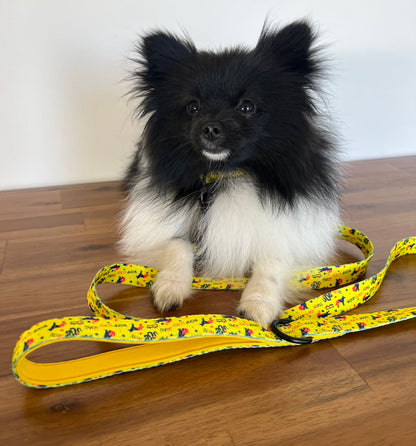 Life in Outback Slang Adventure Range Collar 🐾🇦🇺