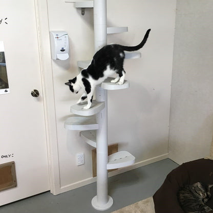 Monkee Tree - The Scalable Cat Climbing Ladder - 3 Branch Kit