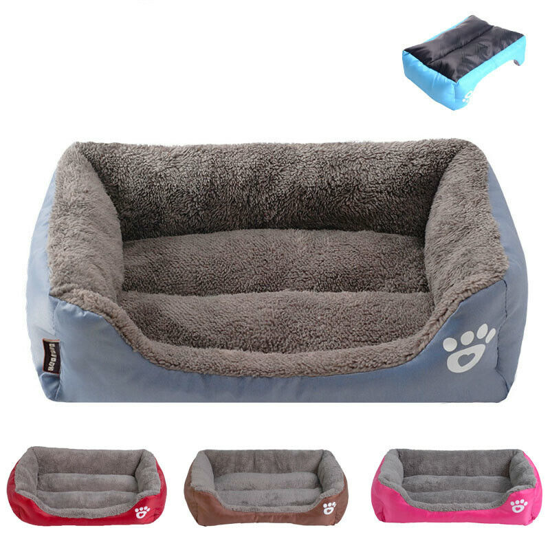 Life in the outback Vibrant Pawprint Dog Beds, the perfect blend of comfort and style for your cherished furry friend! 🐾🛏️🌈