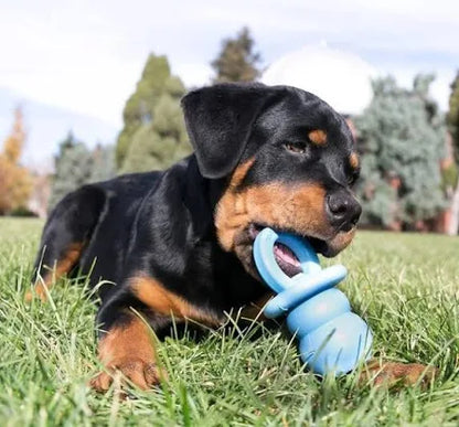 KONG Puppy Binkie Teething Treat Dispensing Dog Toy in Assorted Colours - 4 units