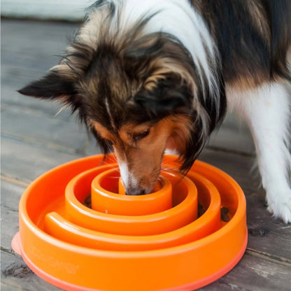 Outward Hound Mini Fun Feeder Slow Bowl - Orange