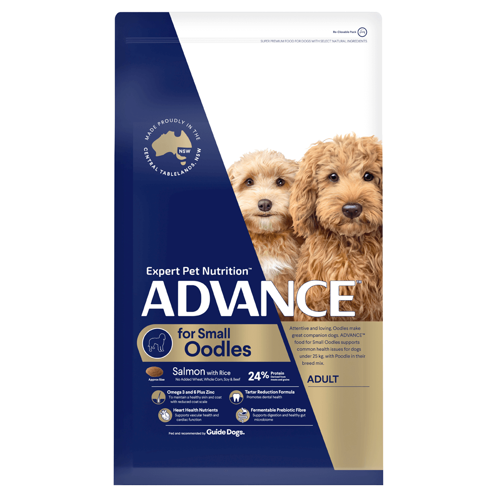 Advance - Adult Dog - Small Oodles - 13kg